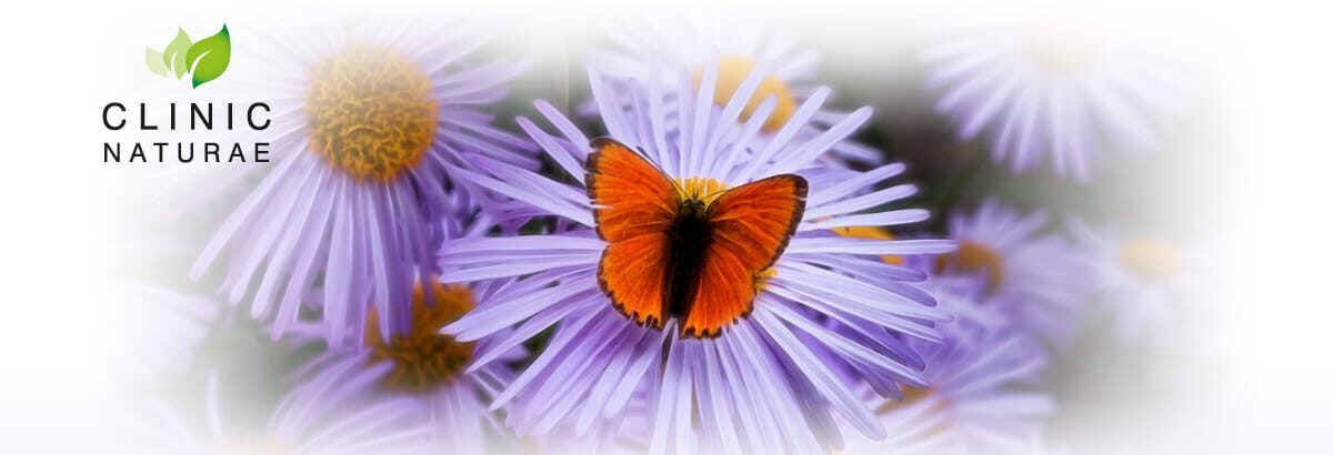 Contact pic Meet The Team Banner