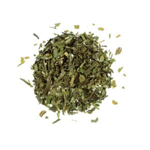 Ribwort Leaf (Plantago lanceolata)