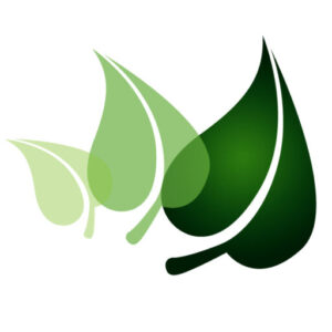 Naturae Way - At Your Own Pace
